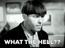 What The Hell Moe GIF - What The Hell Moe Three Stooges GIFs