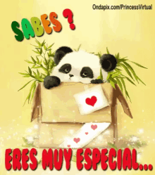 Eres Especial Panda GIF - Eres Especial Panda Box GIFs