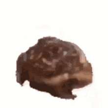 Around The World Frog GIF - Around The World Frog Spin GIFs