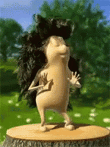 dancing hedgehog