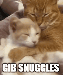 Snuggles GIF - Snuggles GIFs