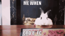 Qrd Fc GIF - Qrd Fc Osu GIFs