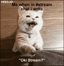 Oki Stream Oki Dev Stream GIF - Oki Stream Oki Dev Stream GIFs