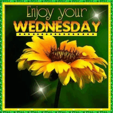 wednesday enjoy your day