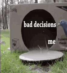 Bird Bad Decisions GIF - Bird Bad Decisions Its A Trap GIFs
