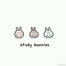 Studying Study Bunnies GIF - Studying Study Bunnies You Got This GIFs