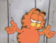 Garfield Idk GIF - Garfield Idk Sorrynotsorry GIFs