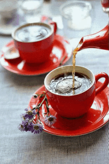 enjoy morning tea calm pouring