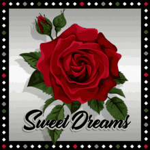Sweet Dreams Red Rose GIF - Sweet Dreams Red Rose Rose GIFs