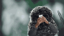 Owl Take A Picture GIF - Owl Take A Picture Texting GIFs