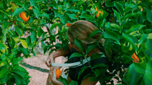 Mamma Mia Donna Sheridan GIF - Mamma Mia Donna Sheridan Tangerine GIFs