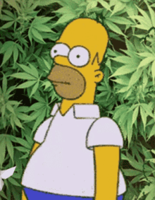 Homer Simpson Weed GIF - Homer Simpson Weed 420 GIFs