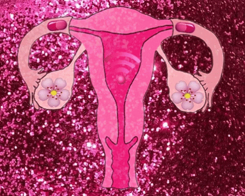 Period Female Genitalia GIF - Period Female Genitalia Ovaries GIFs