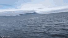 Abraxas Whale GIF - Abraxas Whale Splash GIFs