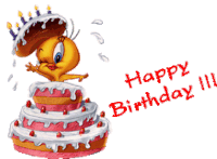 Hey Happy Birthday Sticker - Hey Happy Birthday Tweety Bird Stickers