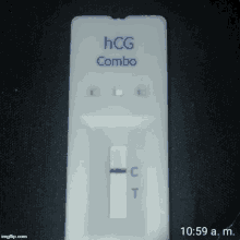 Hcg Combo Pregnancy Test GIF - Hcg Combo Pregnancy Test Positive GIFs