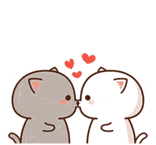 kiss love mwah cat cute