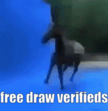 Cavalo Free Draw Verifieds Free Draw2how GIF - Cavalo Free Draw Verifieds Free Draw2how GIFs