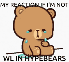 bears hypebeast