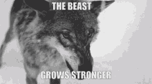 The Beast Grows Stronger Warwick GIF - The Beast Grows Stronger Warwick League Of Legends GIFs