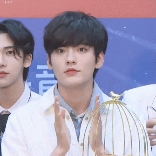 Bi wen jun
