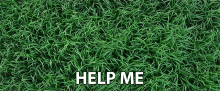 Help Me Send Help GIF - Help Me Send Help Sos GIFs