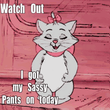 Sassy Fiesty GIF - Sassy Fiesty Cat GIFs