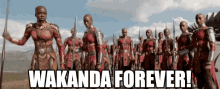 Wakanda Forever GIF - Wakanda Forever GIFs