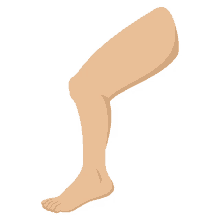 leg joypixels thigh foot knee
