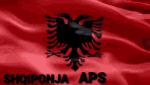 shqiponja flamuri albania flag bandiera