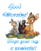 Good Morning Have A Nice Day Sticker - Good Morning Have A Nice Day Have A Wonderful Day Stickers