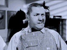 Curly Three Stooges GIF - Curly Three Stooges Larry GIFs