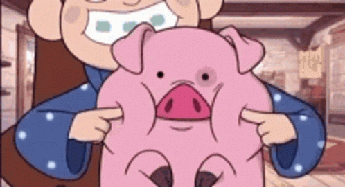 Gravity Falls Waddles GIF - Gravity Falls Waddles Mabel - Discover  Share  GIFs