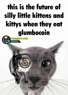 glumbocoin glumbocorp glumbo glumbocoin memes digibyte