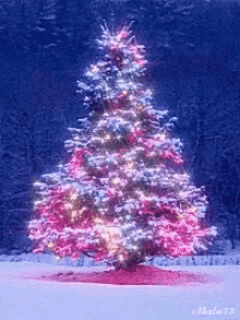 Christmas Tree Xmas Tree GIF - Christmas Tree Xmas Tree GIFs