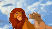 Humans Have Become Danger Circle Of Life Animals GIF - Humans Have Become Danger Circle Of Life Animals Lion GIFs