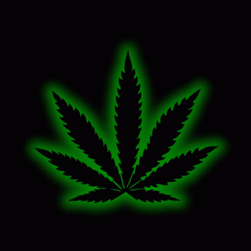 Folienaufkleber Hanfblatt grün weiß 6 X Aufkleber Hanf Cannabis rund Ø 95 mm 