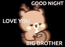 goodnight big brother good night big brother