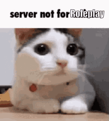 Server Rules Discord Rules GIF - Server Rules Rules Discord Rules GIFs