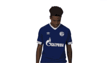 s04 schalke bundesliga football soccer s04 schalke bundesliga football soccer