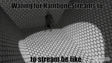 Hambone Hambone Streams GIF - Hambone Hambone Streams Waiting For Hambone To Stream GIFs
