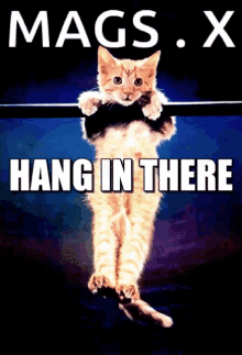 Hang In There Mags GIF - Hang In There Mags Jelly GIFs