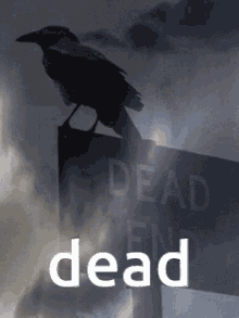 Dead End Crow GIF - Dead End Crow Dead GIFs