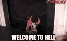 Puppy Welcome GIF - Puppy Welcome Hell GIFs