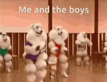 me and the boys dogs dance fit