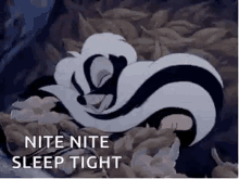 nite disney sleep tight good night skunk