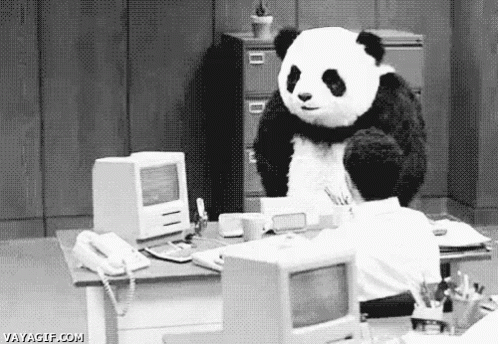 panda-freaking-out.gif