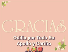 sinceramente gracias odilia por todo su apollo y cari%C3%B1o thank you sincerely thanks sinceramente gracias odilia por todo su apollo y cari%C3%B1o thank you sincerely thanks