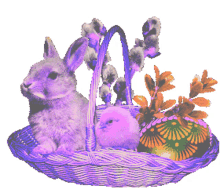 easter bunny happy easter bunny happy