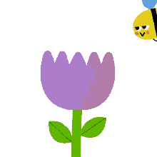 bee flowers